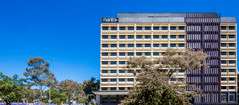 Mantra MacArthur Hotel - Accommodation Tasmania 0