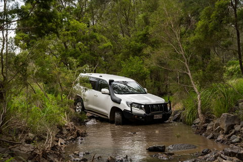 Spicers Hidden Vale - Accommodation Tasmania 14