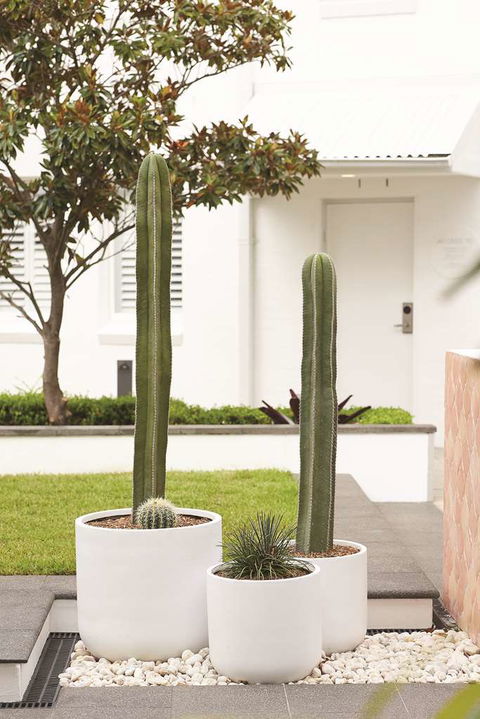 Adina Apartment Hotel Chippendale - Accommodation Tasmania 0