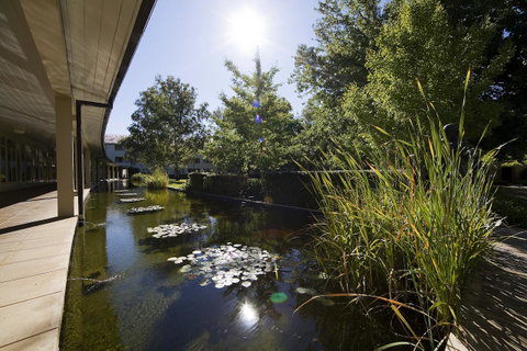 University House - ANU - Accommodation Tasmania 22