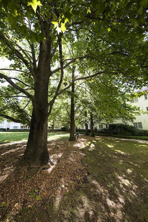 University House - ANU - Accommodation Tasmania 28
