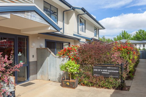 One Of A Kind Apartments - Accommodation Tasmania 36