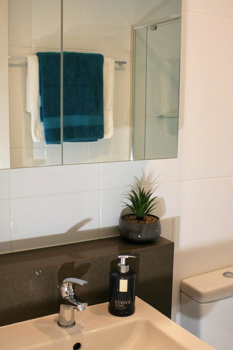 Modern Executive Apt@Barton*1BR*WiFi*Gym*Secure Parking*Canberra - Accommodation Tasmania 13