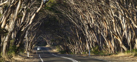 Mercure Kangaroo Island Lodge - Accommodation Tasmania 40