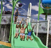 Discovery Parks  Barossa Valley - Accommodation Tasmania