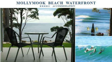 Mollymook Beach Waterfront - Accommodation Tasmania 1