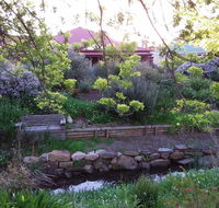 Frog Song at Willunga - Accommodation Tasmania