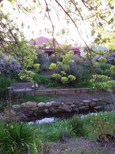 Frog Song At Willunga - Accommodation Tasmania 0