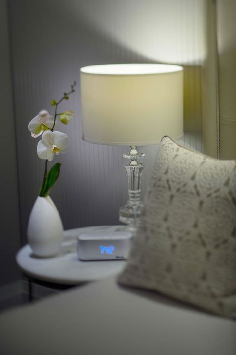 Mayfair Hotel - Accommodation Tasmania 13