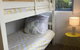 Jack\'s House 2 B&B In Mill Street - thumb 7