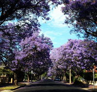 Monaco Court Apartment Adelaide - Accommodation Tasmania
