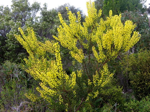 Kestrel Downs - Accommodation Tasmania 26