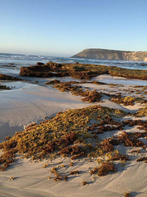 Kestrel Downs - Accommodation Tasmania 34