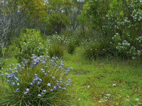 Kestrel Downs - Accommodation Tasmania 32