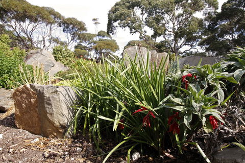 Cape Jervis Holiday Units - Accommodation Tasmania 6
