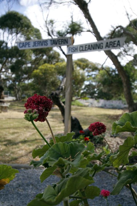 Cape Jervis Holiday Units - Accommodation Tasmania 13