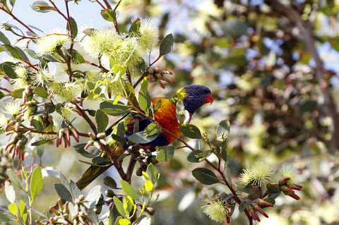 Cape Jervis Holiday Units - Accommodation Tasmania 11