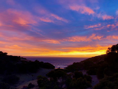 Sea Dragon Kangaroo Island - Accommodation Tasmania 14