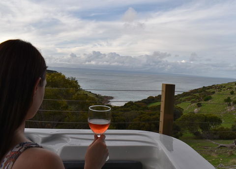 Sea Dragon Kangaroo Island - Accommodation Tasmania 8