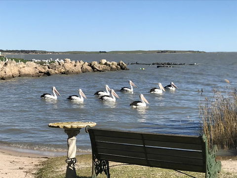 Hydeaway Bay - Own Private Bay + Kayaks - Accommodation Tasmania 18