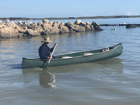 Hydeaway Bay - Own Private Bay + Kayaks - Accommodation Tasmania 32