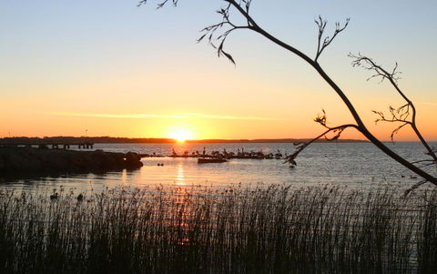 Hydeaway Bay - Own Private Bay + Kayaks - Accommodation Tasmania 36