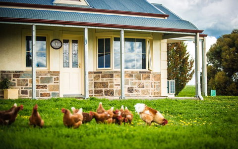 Barossa Vineyard Cottages - Accommodation Tasmania 40