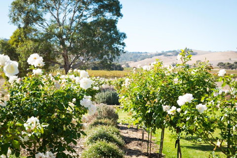 Barossa Vineyard Cottages - Accommodation Tasmania 1