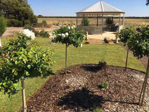 Barossa Vineyard Cottages - Accommodation Tasmania 43
