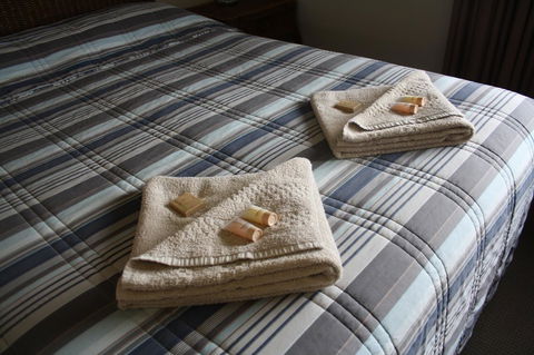 Isis Motel Scone - Accommodation Tasmania 3