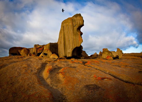 Penneshaw Oceanview Apartments - Accommodation Tasmania 23