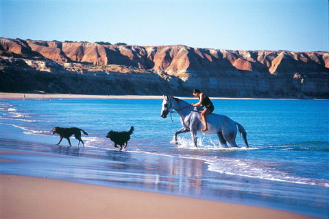 Lavina Luxury Beach House - Accommodation Tasmania 25