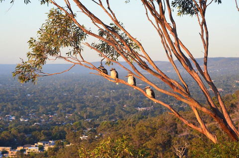 Kingsview Belair, Apartment Grand Views Of Adelaide - Accommodation Tasmania 1