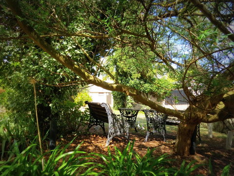 The Pig And Whistle - Accommodation Tasmania 4