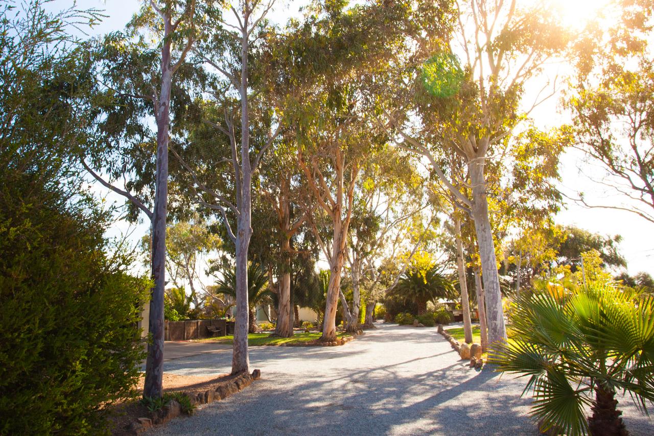  Accommodation Tasmania