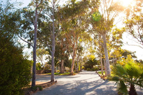 Modra\'s Apartments - Accommodation Tasmania 0