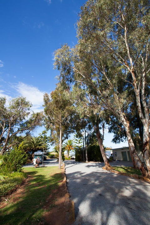 Modra\'s Apartments - Accommodation Tasmania 7