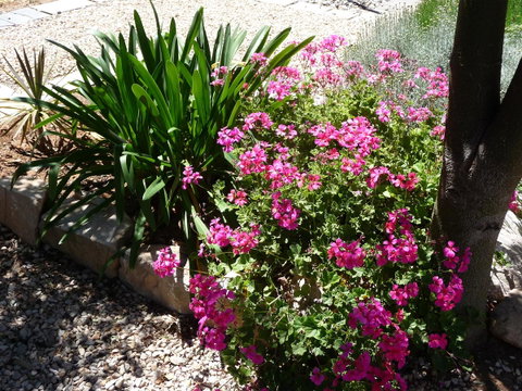 Country Bakehouse Accommodation - Accommodation Tasmania 18