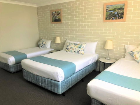 Bathurst Motor Inn - Accommodation Tasmania 14