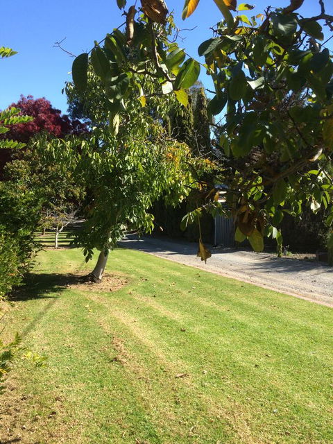 Vineyard Cottage BnB - Accommodation Tasmania 17