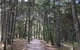 Brunswick Heads Treetop Studio - thumb 8