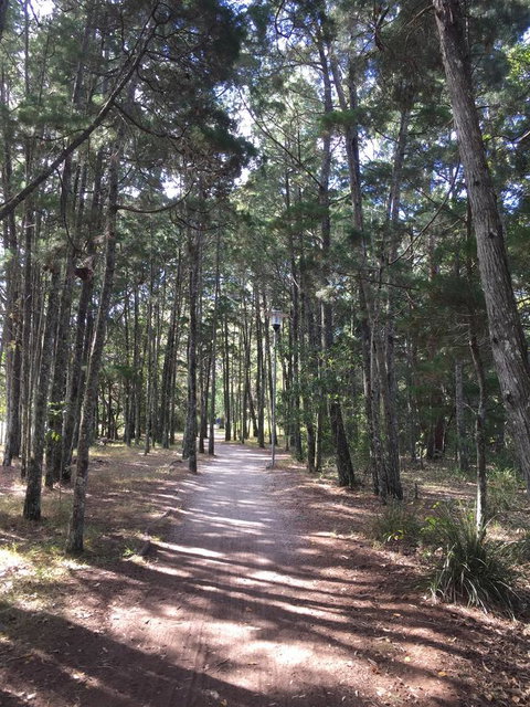 Brunswick Heads Treetop Studio - Accommodation Tasmania 8