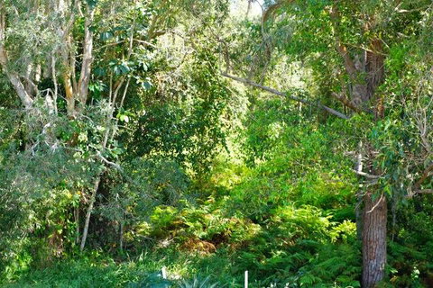 Brunswick Heads Treetop Studio - Accommodation Tasmania 20