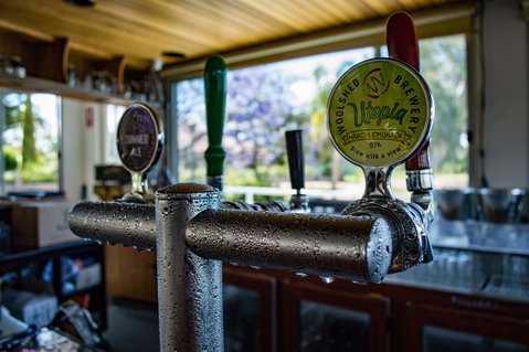 Murray River Queen - Accommodation Tasmania 17