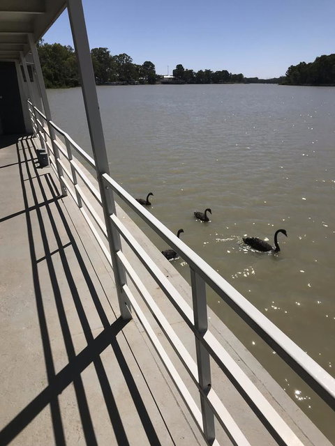 Murray River Queen - Accommodation Tasmania 7