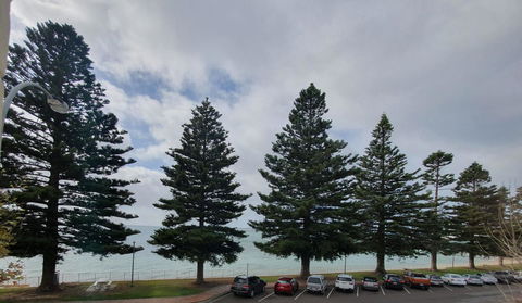 Pier Hotel Port Lincoln - Accommodation Tasmania 12