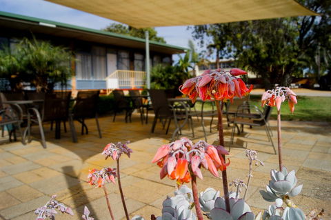 Kangaroo Island Seaview Motel - Accommodation Tasmania 3