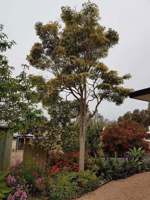 Sinclair Cottage - Accommodation Tasmania 25