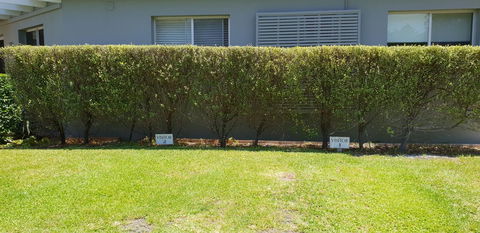 2 Austinmer Studio - Accommodation Tasmania 12