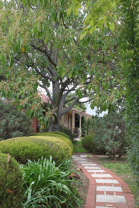 Langmeil Cottages - Accommodation Tasmania 2